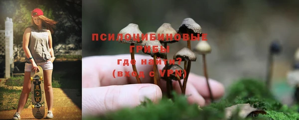 PSILOCYBIN Лагань