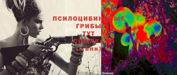 соль ск Лабытнанги