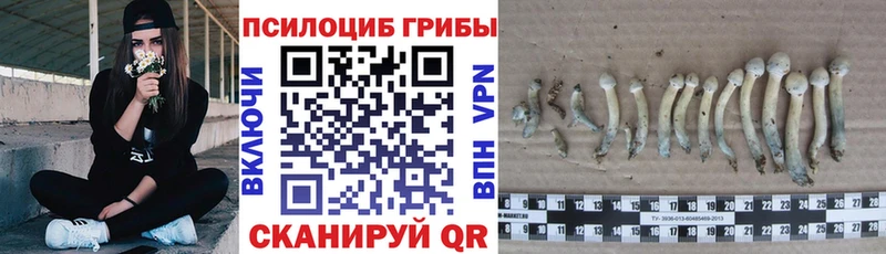 hydra зеркало  Медвежьегорск  Галлюциногенные грибы мицелий 